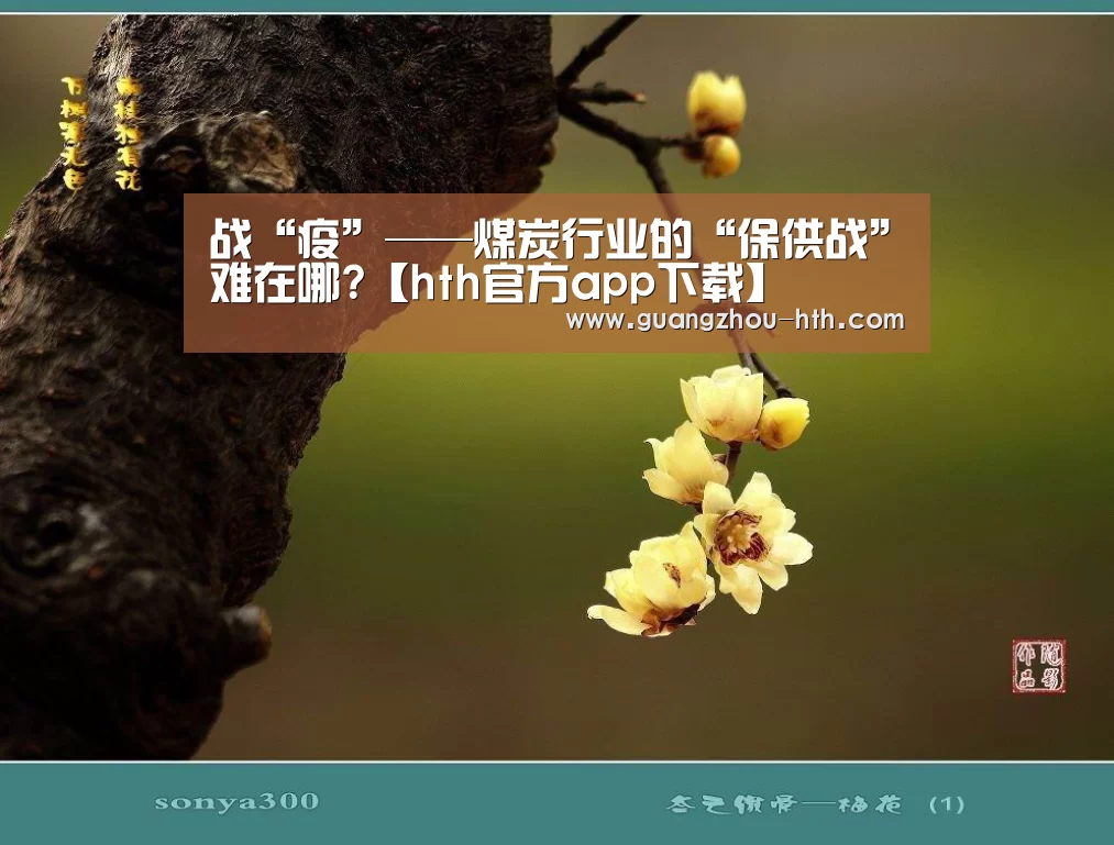 战“疫”——煤炭行业的“保供战”难在哪?【hth官方app下载】(图2) 战“疫”——煤炭行业的“保供战”难在哪?【hth官方app下载】(图2)