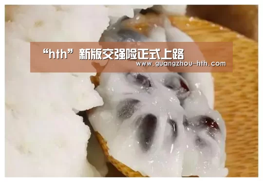 “hth”新版交强险正式上路(图2) hth体育